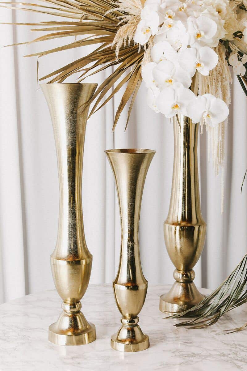 6 x 23.25